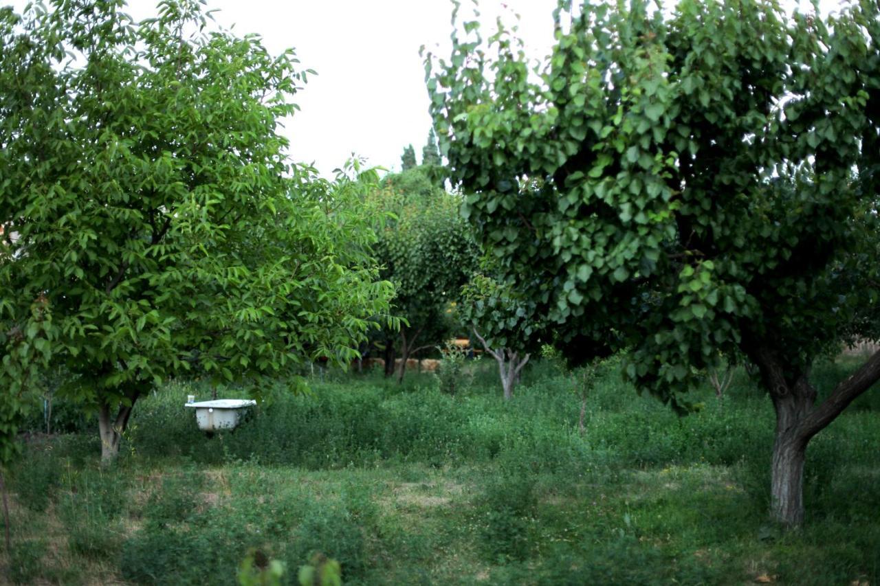 Noosh Guesthouse Ashnak 外观 照片