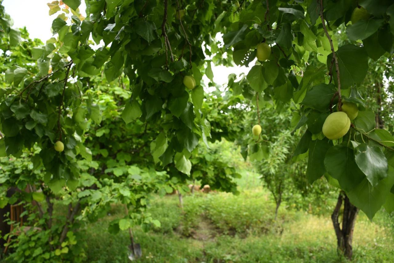Noosh Guesthouse Ashnak 外观 照片